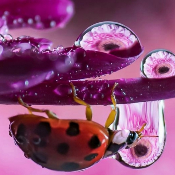 Meet your Posher, Sandi - Picture 1 of 1